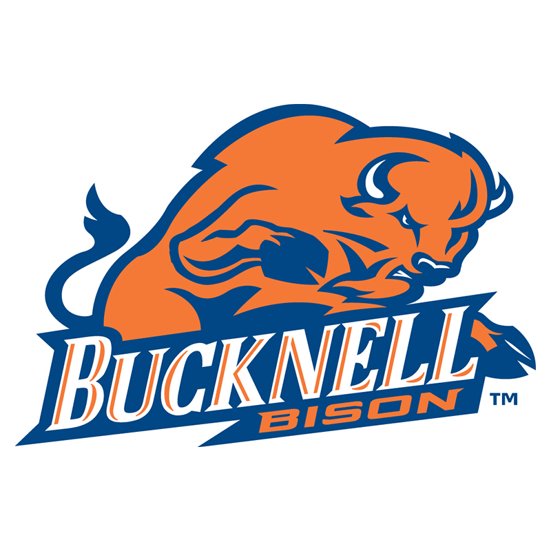 Bucknell Bison iron ons